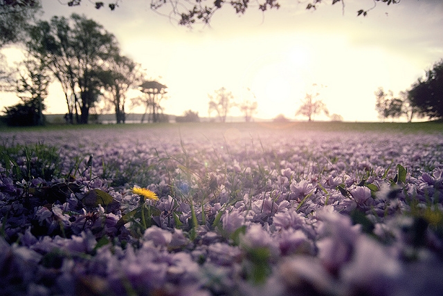 Spring!